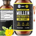 Herbify Mullein Extract 2 oz Teinture pour la santé respiratoire, la feuille de Mullein et le mélange de fleurs (Verbascum Densiflorum)