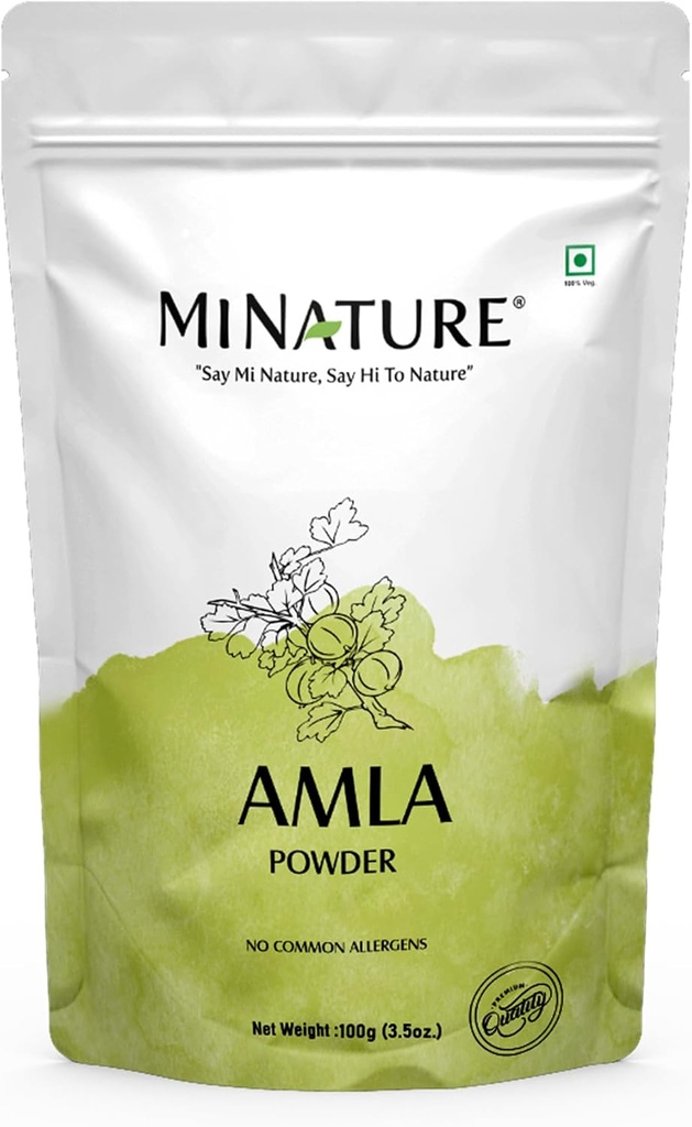minature 100% poudre d'amla pure 100g (3.5 oz) , Vitamine naturelle C Riche poudre de gooseberry indien , Superfood traditionnel pour le soin des cheveux , Santé de la peau et soutien immunitaire