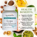 Enzymes de transformation Lypo supplément enzymatique aux herbes et vitamines pour la santé digestive, 60 capsules