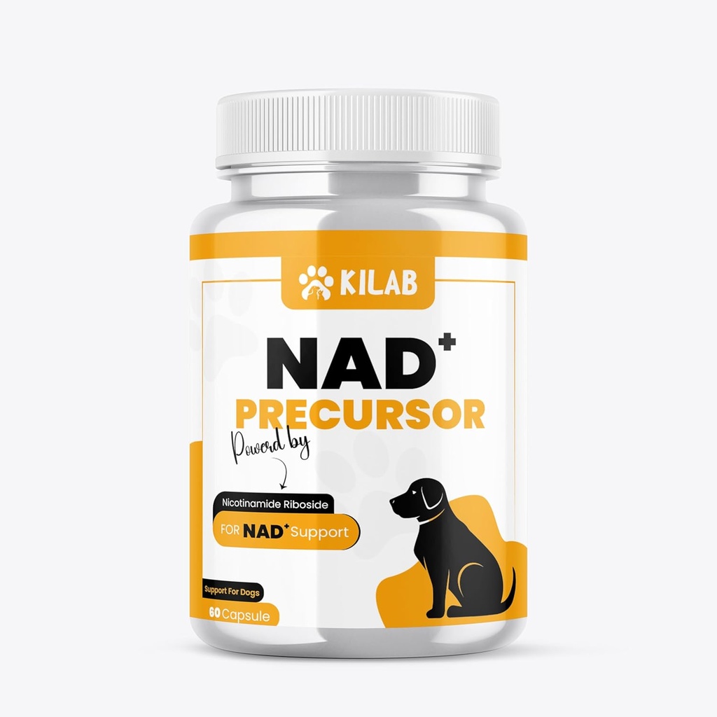 Kilab NAD+ Precursor Supplement for Dogs - Soutien au vieillissement en santé et à la récupération des muscles squelettiques - Soutien de l'énergie cérébrale, cardiaque et cellulaire - Chlorure de riboside de nicotinamide - 60 capsules