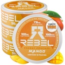 Nootropic Energy Caffeine Pouches • 100mg Caffeine • Alpha GPC • Huperzine A & Essential Vitamins • Sugar-Free • Coconut Fiber Technology • Mango Flavor • 15 Pouches Per Can (Pack of 4)