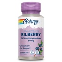 SOLARAY Bilberry Berry Extract 60 mg par gélule, puissant antioxydant, puissance garantie pour une vision saine et un support de circulation 120 VegCaps