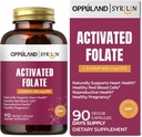 Supplément 5-MTHF Folaté-L activé - Methylfolate B9 MTHF avec vitamine B12, CoQ10 et framboise rouge - L-méthylolate méthylé pour les hommes et les femmes - 500 mcg - 90 capsules de Véggie