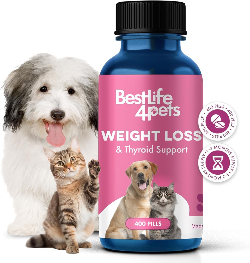 Soutien de poids et de thyroïde pour chiens et chats, solution naturelle pour le contrôle de la faim, support de métabolisme, fonction thyroïdienne optimale, perte de poids efficace chien et chat, 400 pilules sans odeur, sans goût