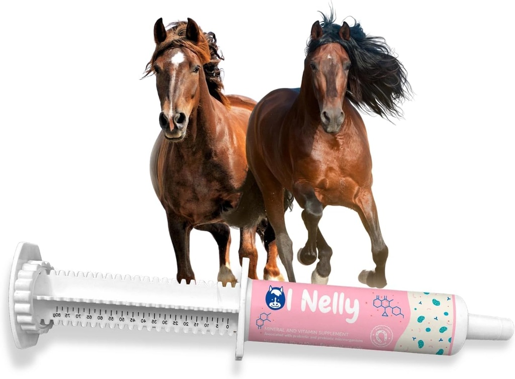 Probiotiques de Chevaux (80cc), Pré et Probiotiques de Pâte de Chevaux +Vitamines et Minéraux- 4 souches et 8 milliards CFU par portion- Immune et Gastro Health Support for Equines