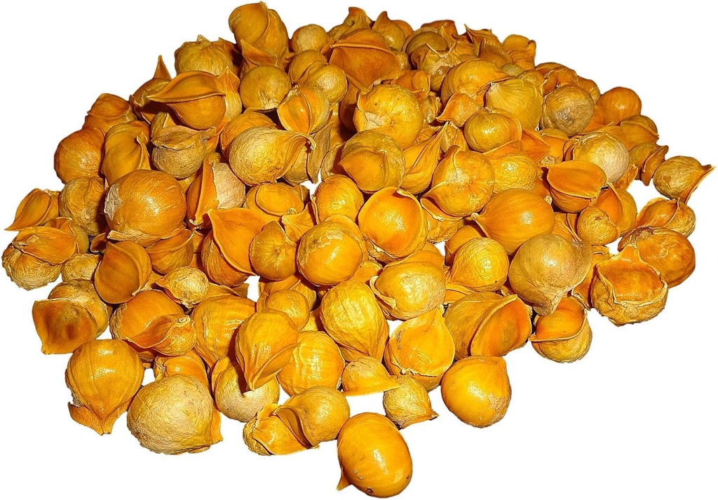 Japanese Garlic//AJO Japones (100% Natural!!) Different Weights: (1 Lb, 5 Lbs, and 10 Lbs) (5 Lbs)