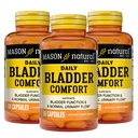 Mason Natural Daily Bladder Comfort, 30 jours d'approvisionnement, avec du calcium, des graines de citrouille et du soja Germ pour soutenir la fonction normale Bladder, 60 capsules (paquet de 3)