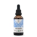Astragalus USDA Extrait sans alcool biologique , supplément alimentaire, teinture haute puissance , Astragalus biologique certifié naturel (Astragalus membranaceus) racine séchée (2 oz)