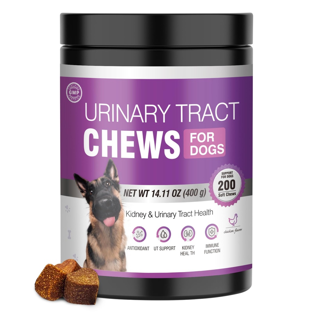 Chien UTI Traitement Supplément canneberge pour chiens 200 Chews Urinary Tract Medicine Lutte contre la vésicule Pilules Rein Support Cranberrys Extrait Bites Puppy UTI Infection traite Incontinence Remède pour chiens