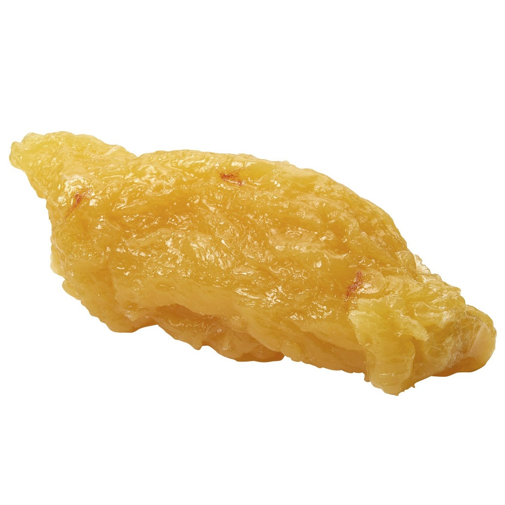 Nasco WA04313 Réplique de graisse du corps humain, 5 lb.