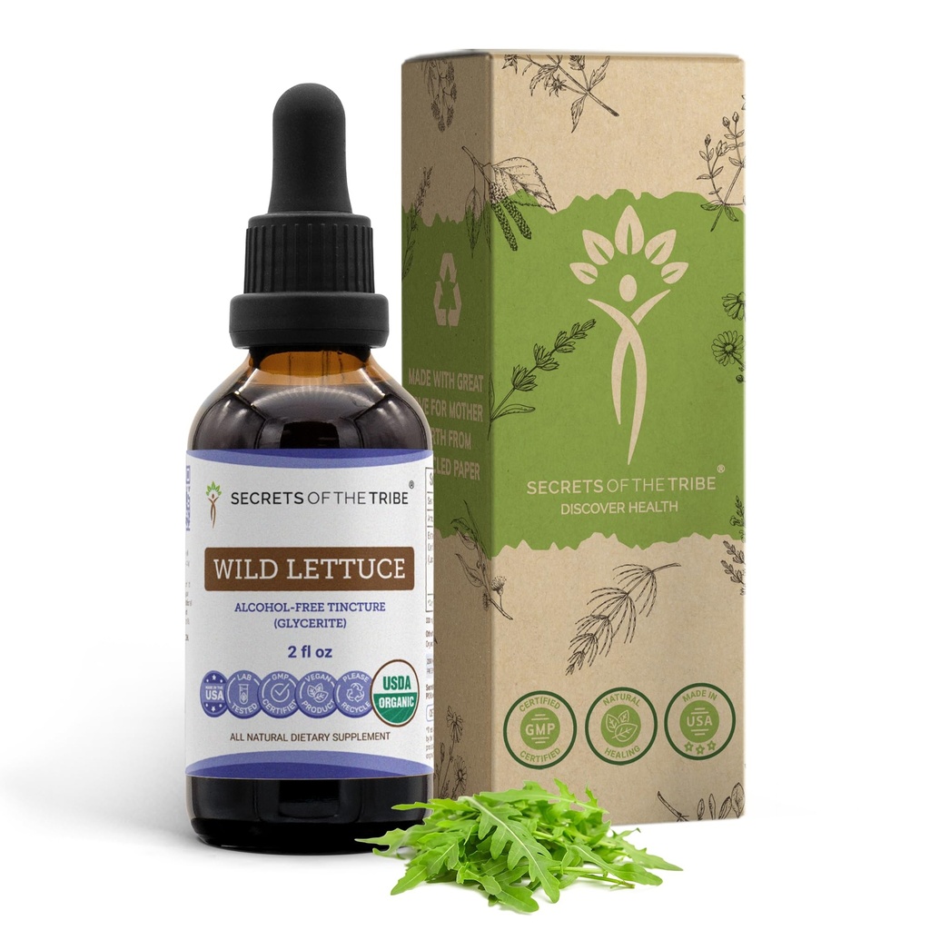 Secrets de la tribu de laitue sauvage sans alcool USDA extrait de teinture biologique, laitue sauvage (Lactuca virosa) Herbe séchée (2 fl oz)