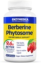 Enzymedica, Phytosome berbérique, 9.6X Meilleure biodisponibilité, supplément alimentaire végétalien naturel de haute puissance pour le soutien métabolique, 60 capsules