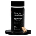 HOMOLOGATION DE MINDHONEY DOSE 60 Comte, supplément de cerveau nootrope tout-en-un Premium Focus, humeur, énergie, et mémoire de Lion - Lions Mane, Ashwagandha, L-Theanine, Bacopa et vitamines
