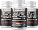 Lions Mane Supplément soutien cognitif, santé immunitaire avec la dinde Tail 20in1 Champignon Reishi Cordyceps Chaga avec la racine Marshmallow -180 Comte
