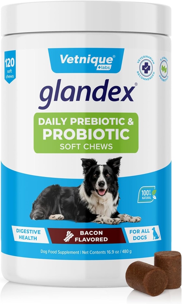 Vetnique Glandex Probiotiques quotidiens pour chiens avec des prébiotiques pour soutenir la santé git avec des enzymes fibreuses et digestives, des chews ou des poudres probiotiques (120ct Chews, bacon Chews)