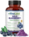 FineLand Wild Blueberry 10:1 Extrait, 6 000 mg de force, 120 capsules végétales, riches en flavonoïdes et anthocyanes, antioxydants pour la santé du cerveau et du coeur, 4 mois d'approvisionnement, non-OGM fabriqués aux États-Unis