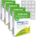 Boiron AllergyCalm Comprimés 240 Compte, soulagement des allergies et de la fièvre du foin Symptômes de l'éternuement, du nez de runny, des yeux démangeaisons, de la gorge, des onglets calmants d'allergie (anciennement RhinAllergy) (Pack de 4 boîtes 60ct)