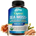 NutriFlair Organic Sea Moss 1600mg, 120 Capsules Plus Bladderwrack & Burdock - Prébiotique Super Food - Système immunitaire et santé digestive - Thyroïde, peau saine, kéto detox, Gut