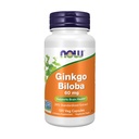 MAINTENANT compléments alimentaires, Ginkgo Biloba 60 mg, 24 % extrait normalisé, projet non-OGM vérifié, 120 capsules de légumes