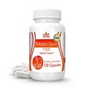 Capsules de Gum Mastic Premium - Supplément de soutien gastro-intestinal naturel, 1000mg par portion - 120 Capsules (1 bouteille)