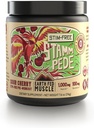 Terre Fed Muscle Stammpede Sour Cherry Poudre de pré-entraînement pour les hommes et les femmes, Pré-entraînement Pas de caféine, végétalien et sans gluten, Boosts Focus & Endurance, Lions Mane, Taurine, Peak O2, 30 portions