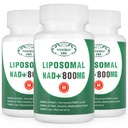 NAD+ Supplement Liposomal NAD+ Plus 800MG Nicotinamide Riboside Alternative for Cell Energy, Healthy Aging and Muscle Repair 180 Capsules (Pack of 3)