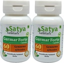 Gurmar Forte Capsules 500 mg. 60 Gél. Capsules d'extrait Gudmar (Gymnema Sylvestre) Capsules d'extrait pour hommes et femmes.