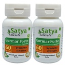 Gurmar Forte Capsules 500 mg. 60 Veg. Capsule | Gudmar (Gymnema Sylvestre) Extract Capsules for Men and women | Ayurvedic Herbal Supplement/Remedies | 10:1 Forte (2 Bottles of 60 Capsules)