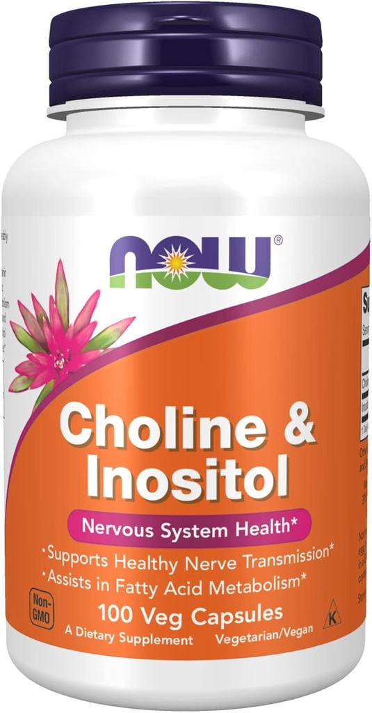 Choline et Inositol, 500 mg, 100 capsules par les aliments actuels (paquet de 6)