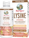 Supplément végétalien de lysine par MaryRuth's (Ultra Absorption) Lysine 500mg (Ultra Absorption) Soutien à la formation de collagène (Immune Support Supplement) Santé et bien-être (Ultra Absorption)