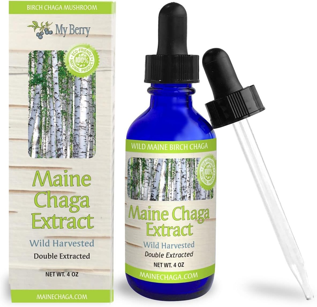 Extrait de champignons de Chaga liquide de 4oz de teinture de 100% Harvested et Double Extraction