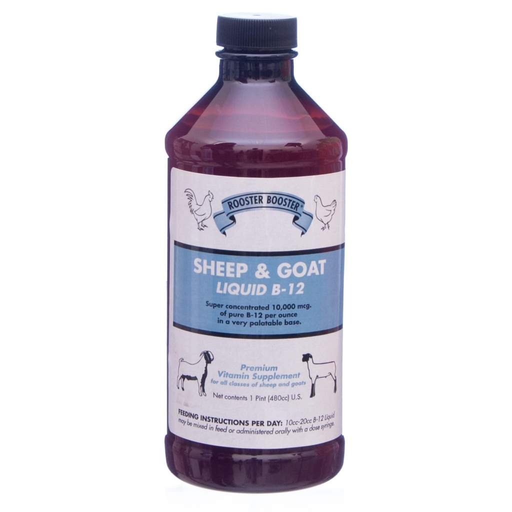 Rooster Booster B-12 Sheep and Goat Liquid, 16-Ounce