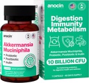 Akkermansia Muciniphila + Probiotique, Postbiotique et Inuline - Supplément santé Gut pour la digestion, le soutien immunitaire - 10 milliards CFU, végétalien et sans gluten