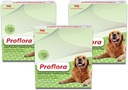 Probiotique pour chiens - Digestion saine - Système immunitaire boost - Fonction normale Bowel - Santé de la peau et du manteau - Supplément pour le tract GI - 90 portions, 3-pack