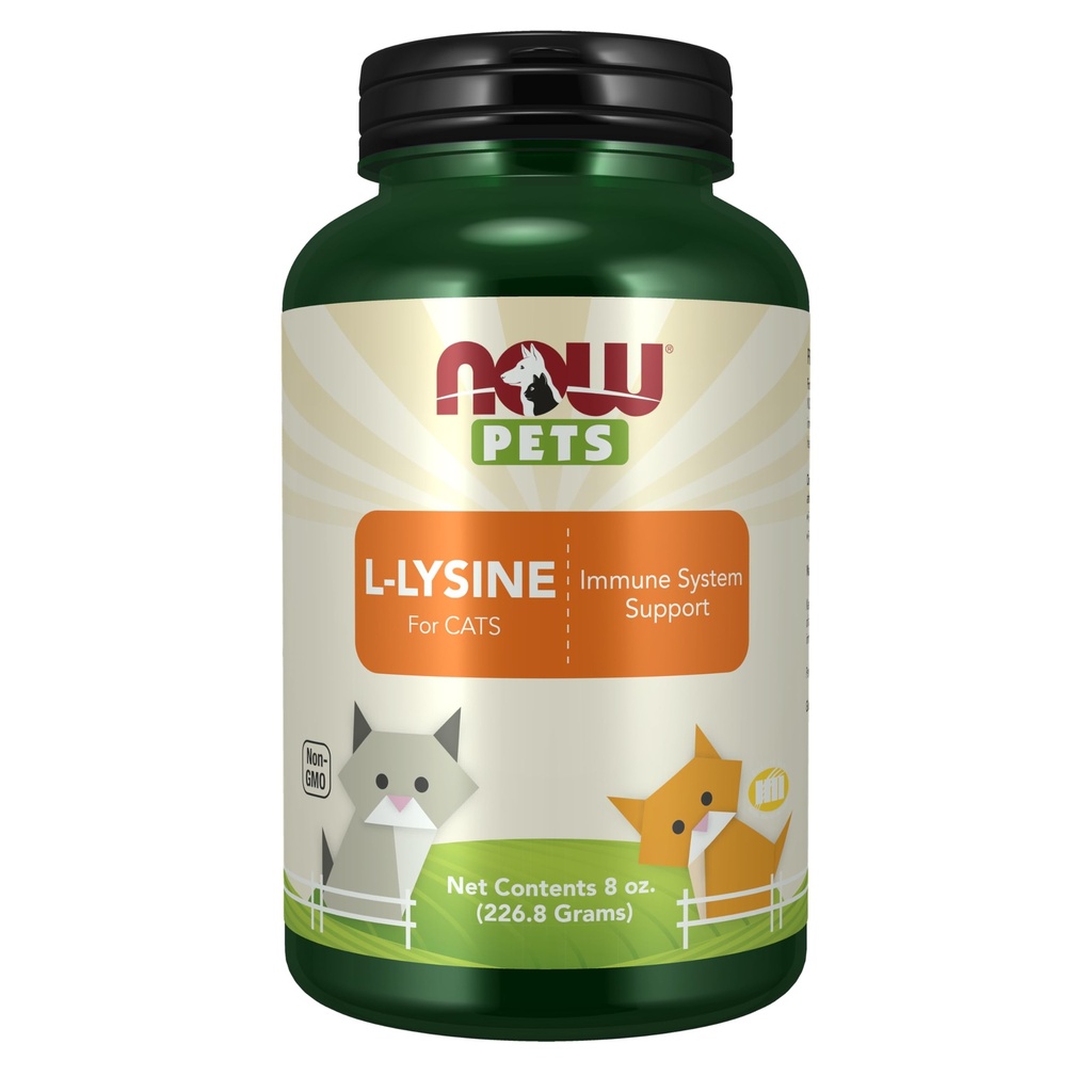 MAINTENANT Santé des animaux, supplément L-Lysine, poudre, formulé pour les chats, certifié NASC, 8-Ounce
