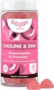 Prenatal Choline & DHA Gummies - Preconception to Postnatal Gummy Vitamin Supplement for Pregnant Women - Sweetened with Monk Fruit - 3rd Party Tested - Non GMO, Gluten Free, Vegan
