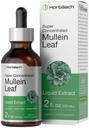 Horbäach Mullein Leaf Extract Drops, 2 fl oz, sans alcool Teinture liquide.