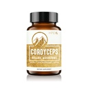 HPD Rx Premium Organic Cordyceps Supplément de performance d'extrait de champignons pour l'énergie, l'endurance et l'immunité