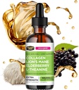 Collagen Mojo - Collagène liquide pour les femmes et les hommes, Collagen Peptides avec le champignon Lion's Mane, Elderberry & L-Theanine - Cheveux, peau, ongles, soutien articulaire, focus, absorption élevée - 100 000mcg, 2 Oz