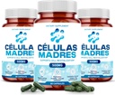 Suppléments de cellules souches 500mg (180cap) Support naturel anti-âge et longévité avec Spiruline et Chlorella, Boost renouvellement cellulaire, restaurer l'énergie juvénile, réduire la douleur articulaire – Celulas Madre
