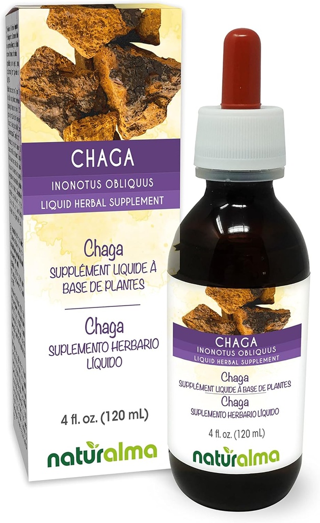 Naturalma Chaga (Inonotus obliquus) Fongus ou champignons Teinture sans alcool - 4 fl oz Extrait liquide dans les gouttes - Supplément à base de plantes - Vegan