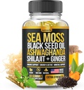 Mousse de mer, Huile de graines noires, Ashwagandha, Ginger, Shilajit Gummies avec Elderberry, Chlorophylle, Turmeric Bladderwrack Sea Gummies Formule de force avancée - Tous en 1 bloc - États-Unis Made (60 Gummies)