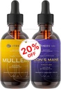 Bundle - Supplément de champignons Mullein Leaf Extract & Lions Mane - Soutien respiratoire et soutien du cerveau