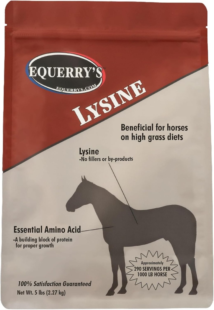 Supplément Lysine pour Chevaux d'Equerry Supplément Lysine en poudre pour le soutien musculaire et la santé immunitaire