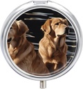 Pill Box 3 Compartiment Round Pill Organizer Daily Small Pill Case for Travel Golden Retrievers Metal Pill Container Portable Medicine Organizer for Pill Vitamines Fish Oil Supplement