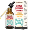 Liposomal Glutathion Liquid 2000MG – Supplément de désintoxication antioxydant pour les femmes et les hommes, Vieillissement Défense, Fonction hépatique et énergie, avec acide hyaluronique + Aloe Vera + vitamine C, naturel et végétalien, 2 FL.OZ