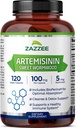 Zazzee Haute Absorption Artémisinine, 100 mg par Capsule, 120 Capsules Vegan, avec 5 mg de BioPerine pour Absorption Maximale, Extrait de Dormwood, 4 mois d'approvisionnement, tout naturel et non-OGM