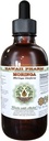 Hawaii Pharm Moringa Extrait liquide sans alcool, Moringa (Moringa Oleifera) Feuille Glycérite supplément naturel à base de plantes, États-Unis 4 oz