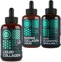 WILD FUEL Collagène liquide, Collagène marin et Chlorophylle liquide Beauty and Wellness Bundle