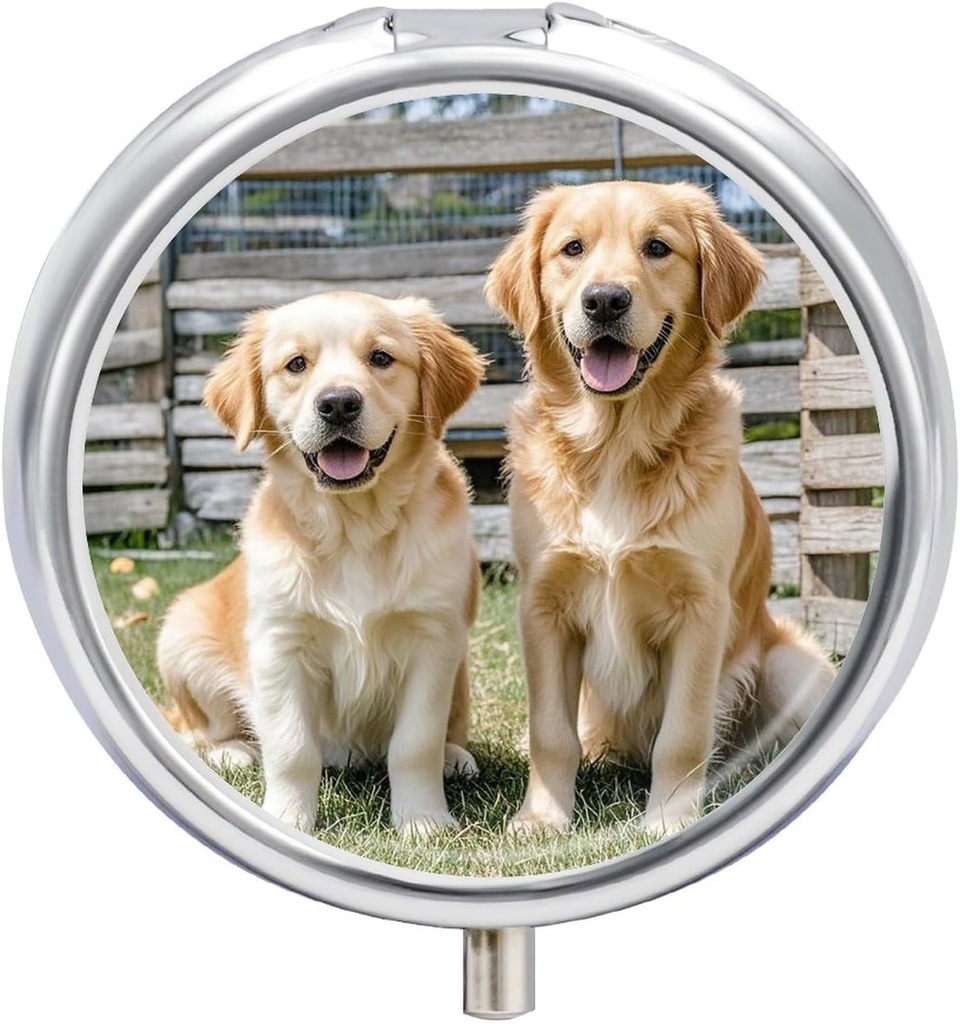 Rond Pill Case 3 Compartiment Golden Retriever Chien Puppies Animaux de compagnie Pill Box Mini Medicine Pill Organizer Portable Travel Pillbox for Pocket Purse Metal Pill Container for Vitamines Fish Oil Suppléments